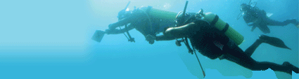 padi navigation